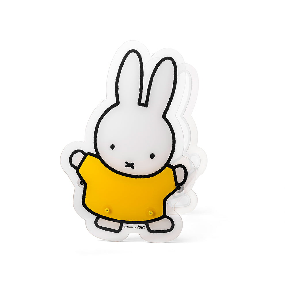 Lola CD & Vinyl Stand - Miffy